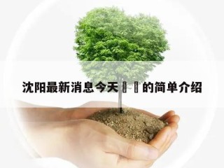 沈阳最新消息今天㊙️的简单介绍