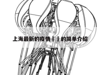 上海最新的疫情㊙️的简单介绍